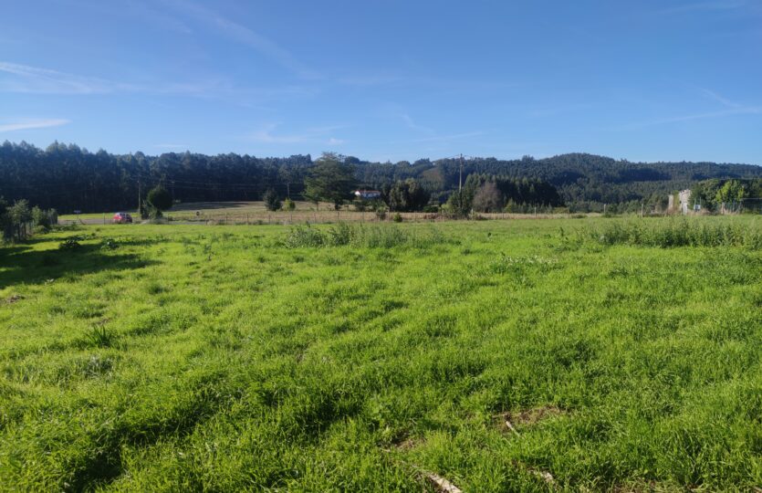 En venta finca urbana en Oza-Cesuras