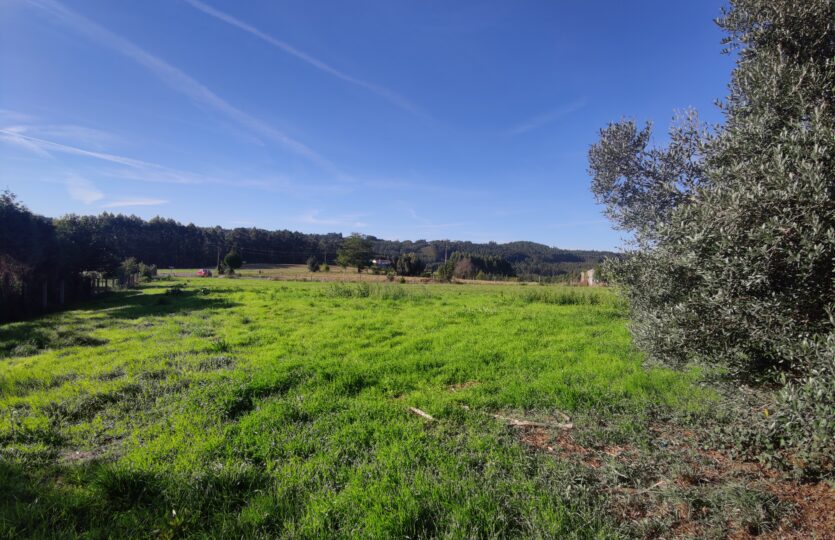 En venta finca urbana en Oza-Cesuras