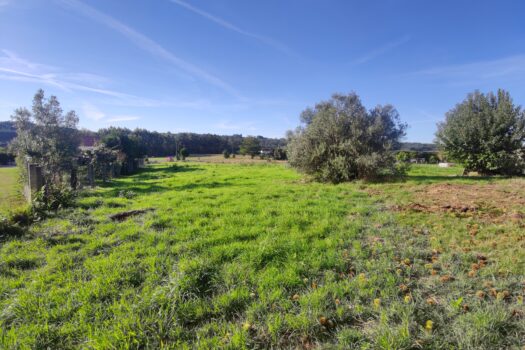 Estupenda finca urbana en venta en Oza-Cesuras