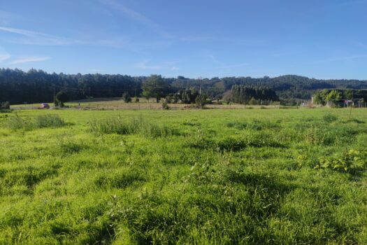 En venta finca urbana en Oza-Cesuras