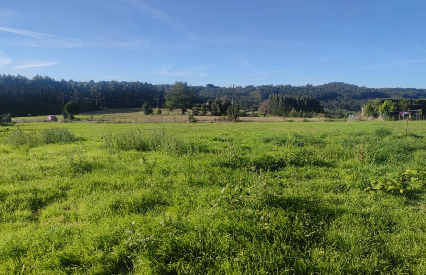 En venta finca urbana en Oza-Cesuras