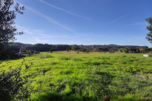 Estupenda finca urbana en venta en Oza-Cesuras