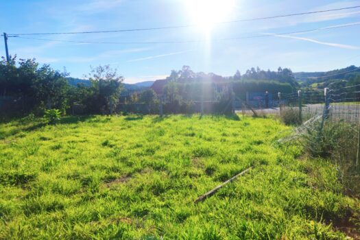 Estupenda finca urbana en venta en Oza-Cesuras