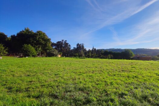 Estupenda finca urbana en venta en Oza-Cesuras