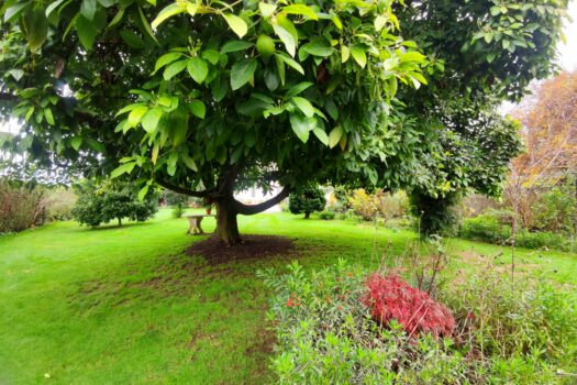En venta casa con finca en Miño