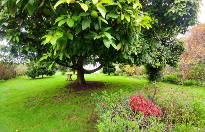 En venta casa con terreno en Miño