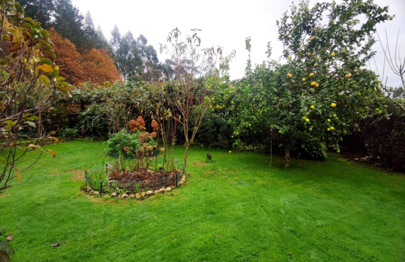 En venta casa con terreno en Miño