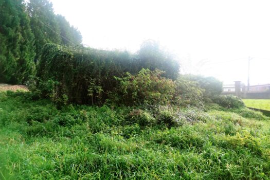 En venta casa de piedra en Cambre