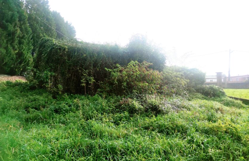 En venta casa de piedra en Cambre