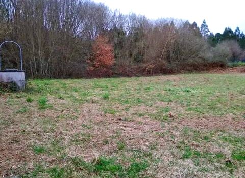 En venta finca con proyecto en Betanzos